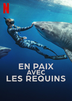 En Paix Avec Les Requins
