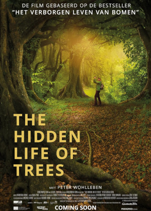 THE HIDDEN LIFE OF TREES
