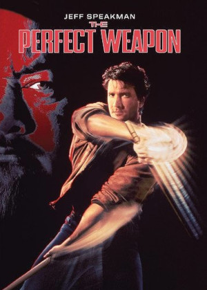 THE PERFECT WEAPON